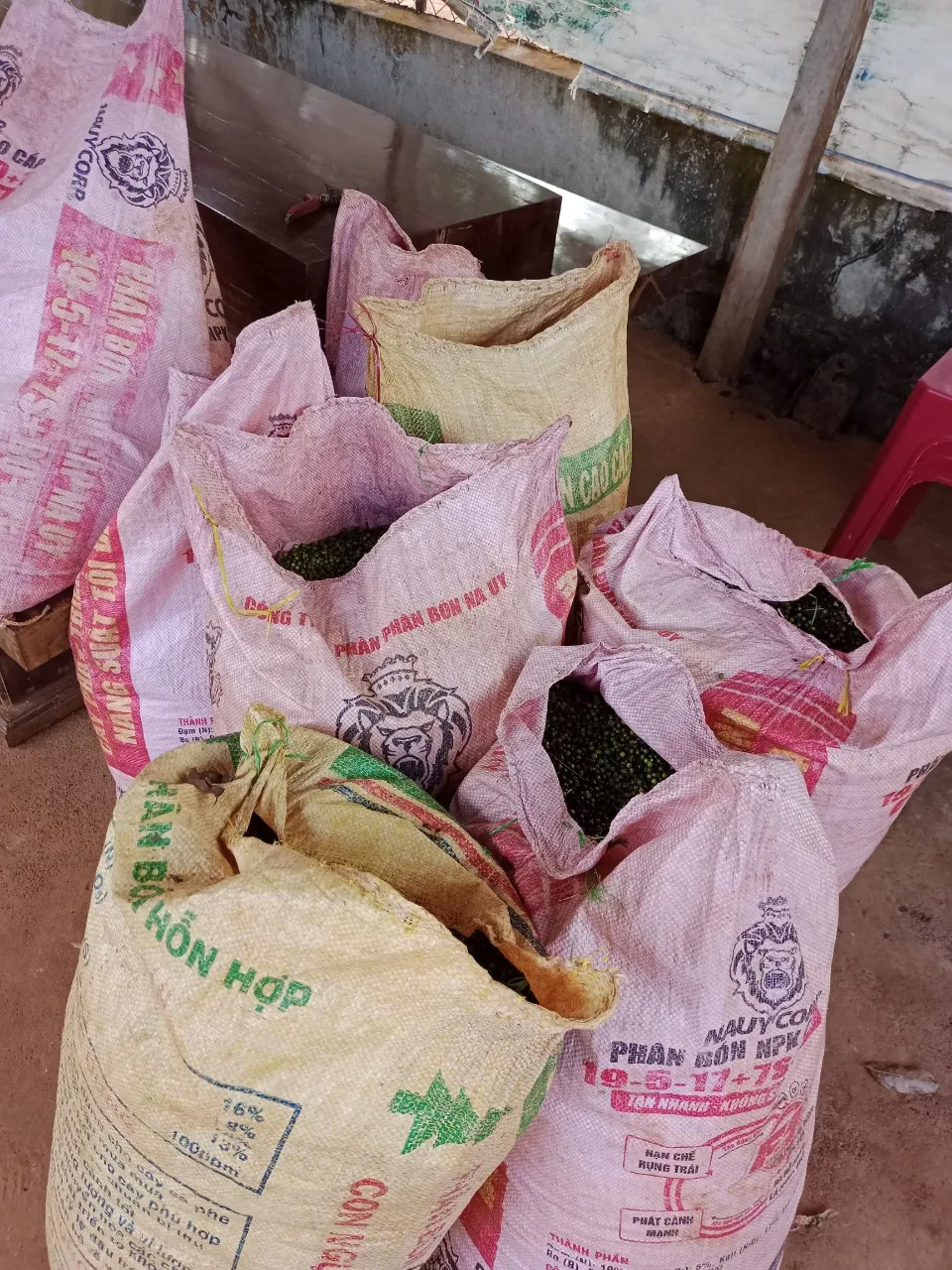 Wholesale Price Bulk BLACK PEPPER 100% Natural From Black Pepper Farming Business Best Quality Dried Black Pepper High Value OEM