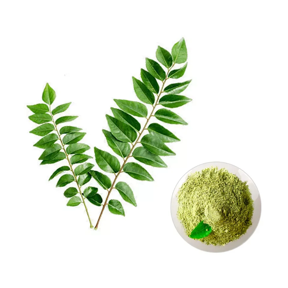 Best Quality for Dehydrated Vegetable Curry Powder for Cooking Flavour Available Customized Jars at Bulk Price for Export
