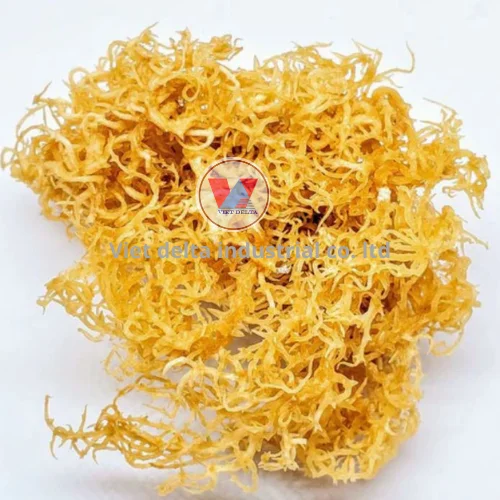 Wholesale Reef Revive 100% Pure & Unrefined Caribbean Sea Moss Multi-purpose