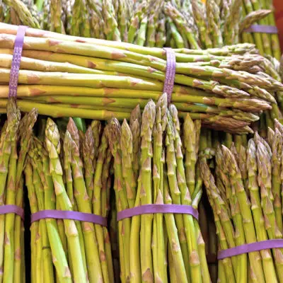 Frozen Green Asparagus Exporters Wholesale in Bulk Packing