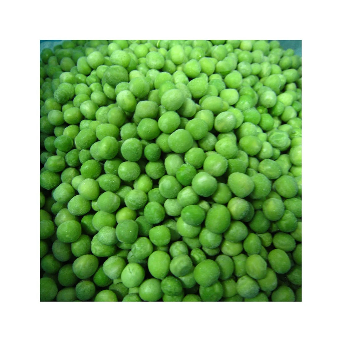 Non GMO Green Split Peas Green Pigeon Peas Split Green Tuar Dal Split Green Toor Dal