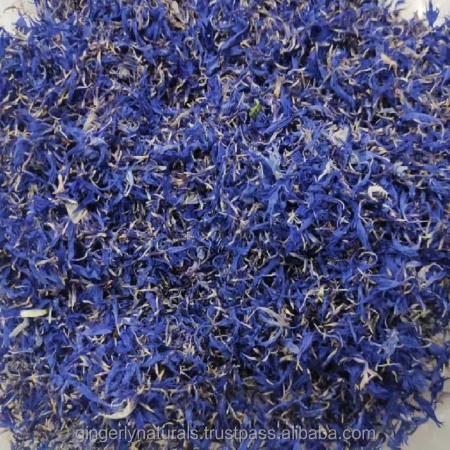 Manufacturers of Cornflower In India at Factory Price