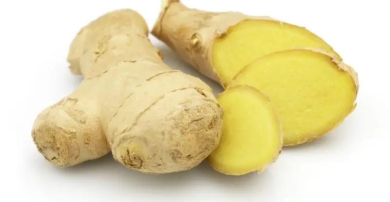 New 2023 Crop - Vietnam Fresh Ginger, Ginger Powder, Dry Ginger - Vietnam Spices - Ginger Exporter - Ready For Delivery
