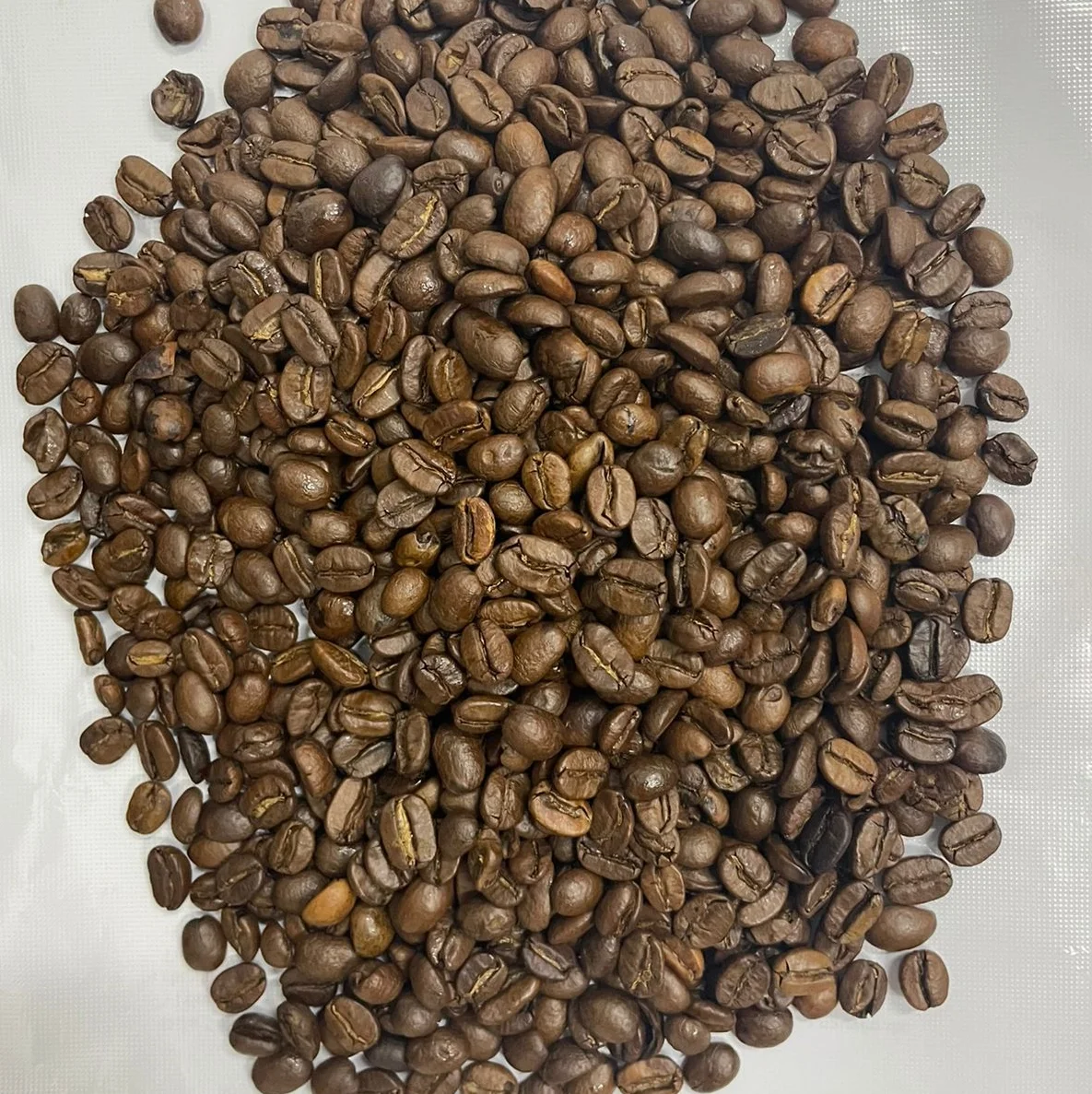 Arabica Coffee Roasted Good Price Export Food High Protein Vaccum Bag Made In Vietnam Trading