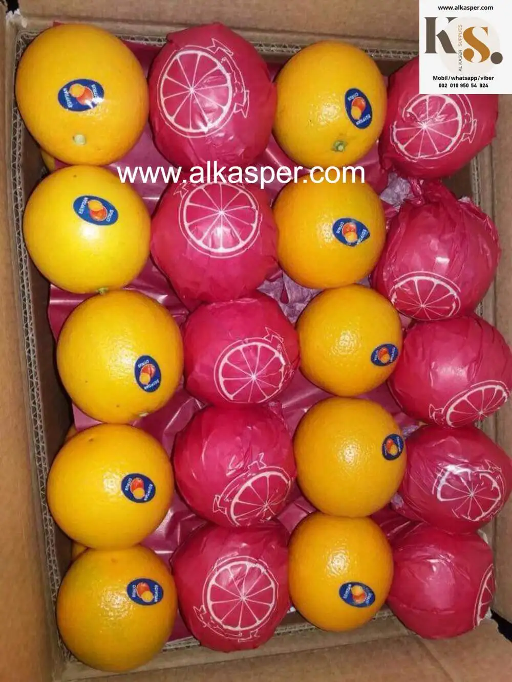 Fresh Navel Orange is now available for reservations wholesale (TOP QUALITY) Special Discount