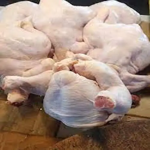 Best Quality Halal Whole Frozen Chicken Ready for Export