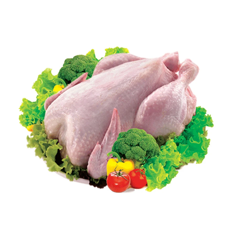 Высококачественная замороженная курица оптовая продажа дешевая цена Халяль цельная и