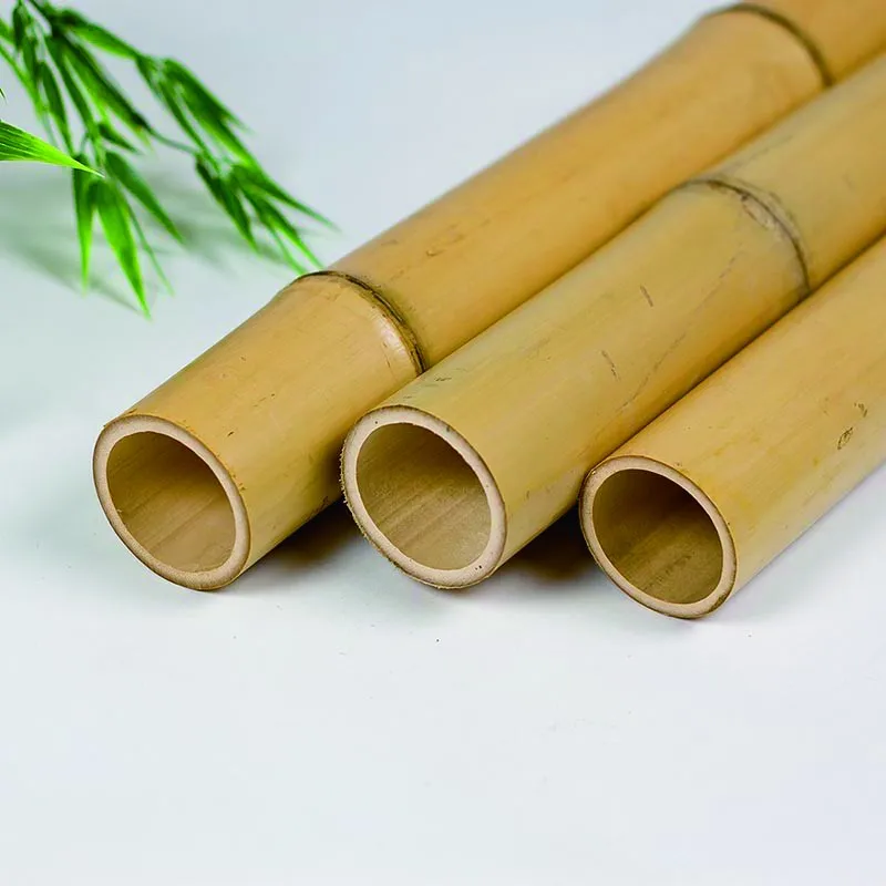Bulk quantity bamboo moso pole stick stake bundles tonkin bamboo stakes wholesale ready to ship