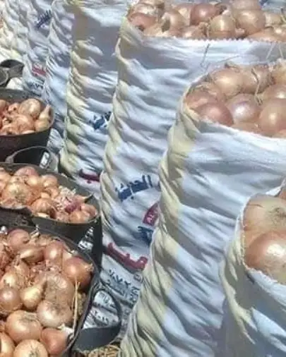 onions  (7).jpg