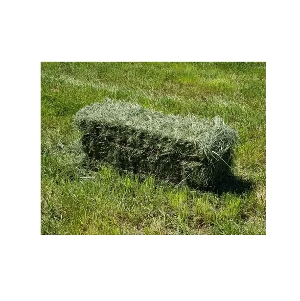 High Quality Alfalfa Hay, Quality Bermuda Grass, Quality Orchard Hay for Animal Feed