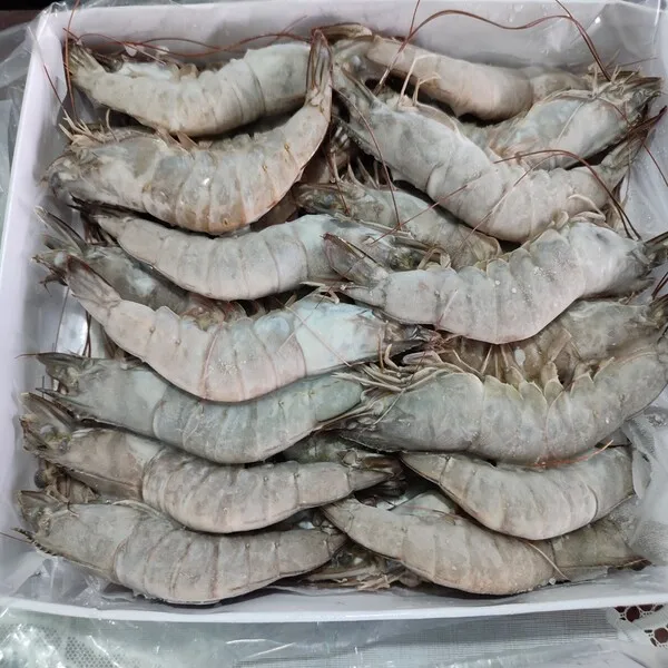 Giant Tiger Prawn No Additives Fresh Natural Whole Shape Raw Frozen Cooking Bulk Seafood Shrimp From Vietnam