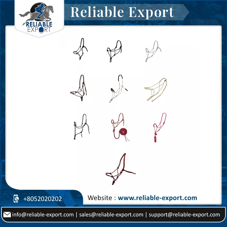Adjustable & Durable Braided Rope Horse Riding Halter With Designer Noseband Available in Multiple Designs