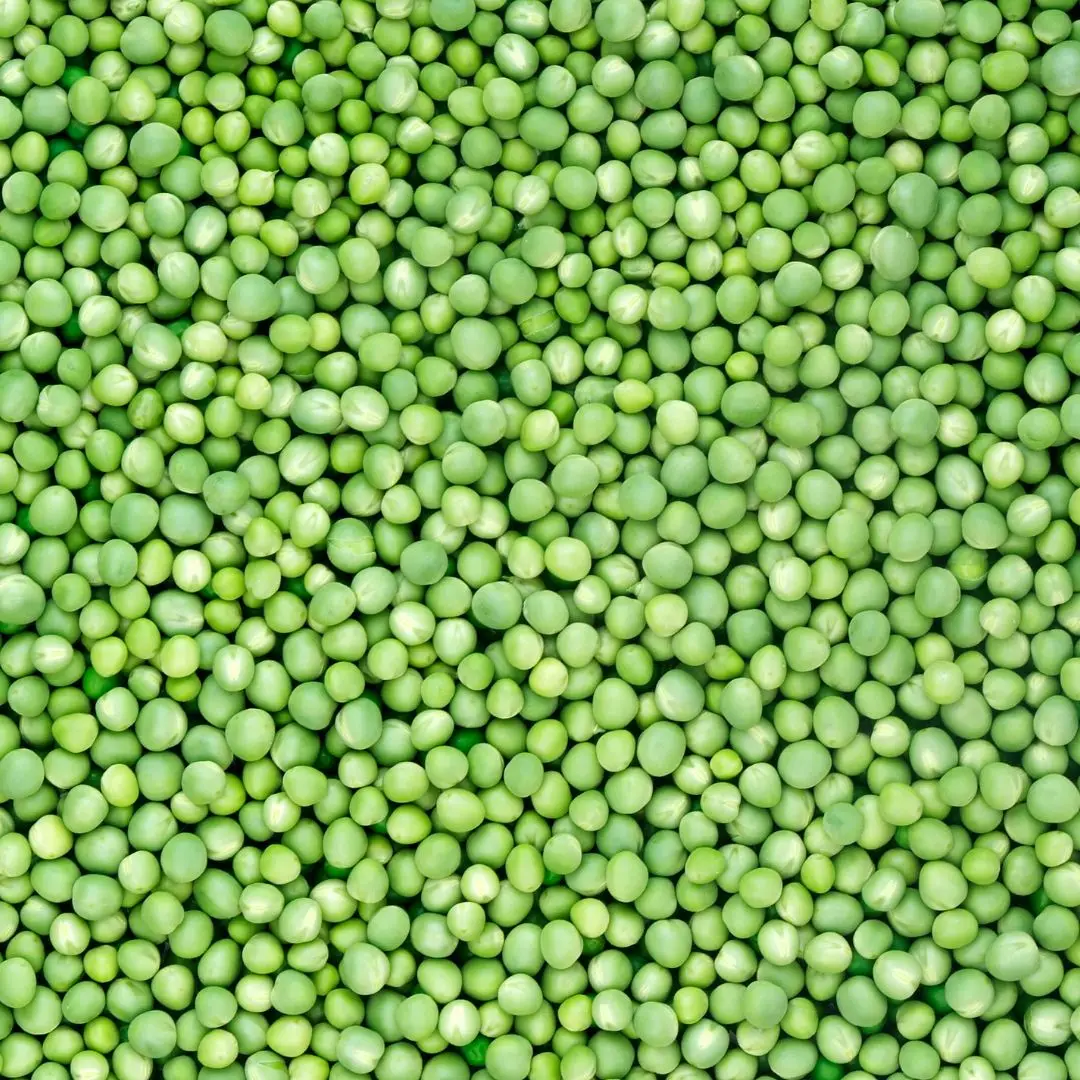 Новое поступление натуральный зеленый горох сорта пищевого класса импульсы оптовая
