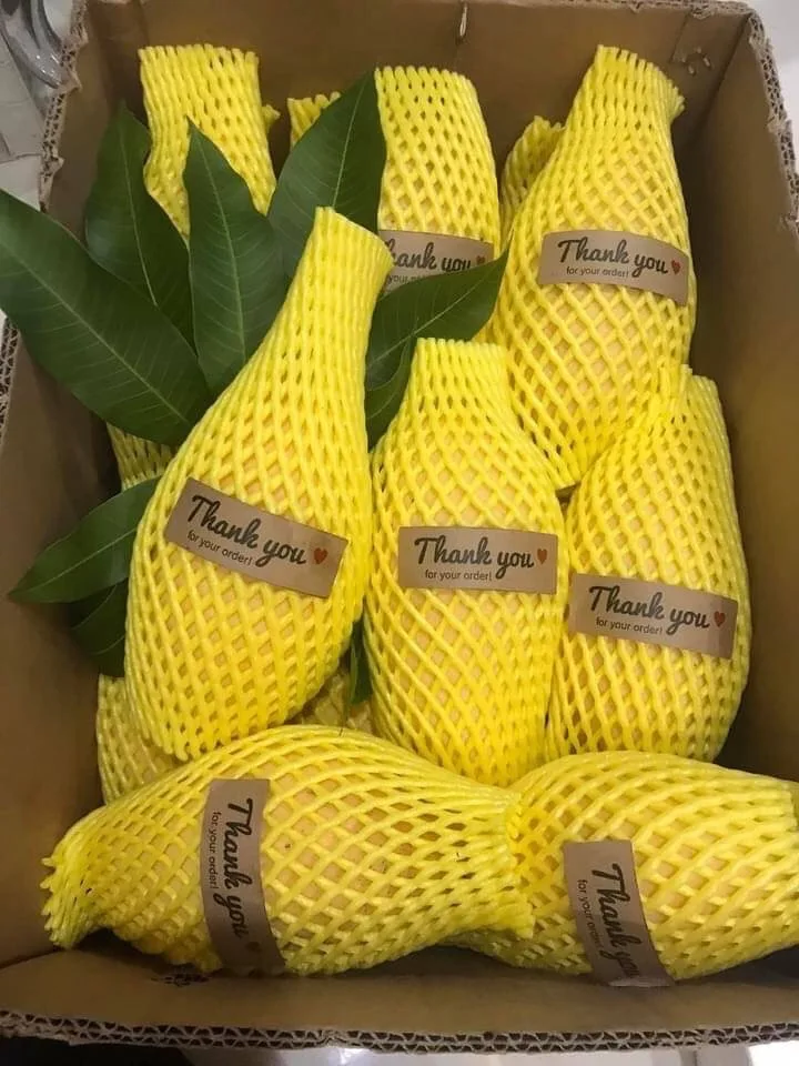 Premium Fresh Mango From Thailand  100% Natural Premium Grade of Fresh Mango with Best Taste