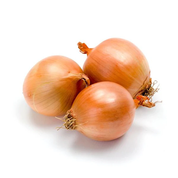 France fresh red onion yellow onion 2022 crop new arrival