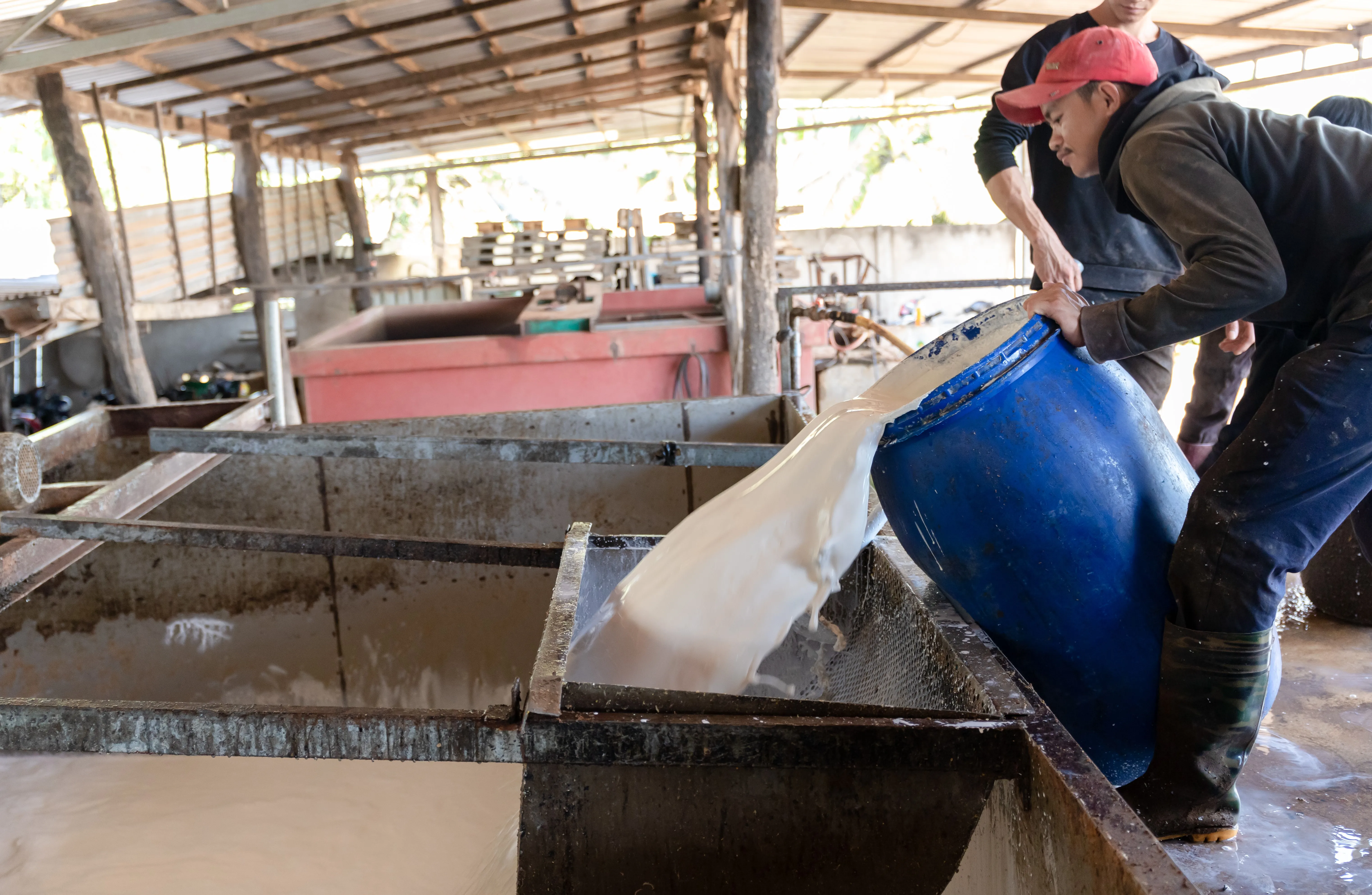 Rubber RSS3 Best Price Synthetic Polyisoprene Rubber ISOPRENE Rubber Bags Yellow Light Shoe Key Block Industrial Tuya Packaging