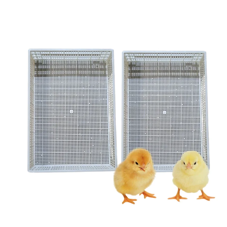 Poultry Plastic Slat Floor Fast Delivery New Design For Duck Poultry Equipment Customization Vietnam Manufacturer