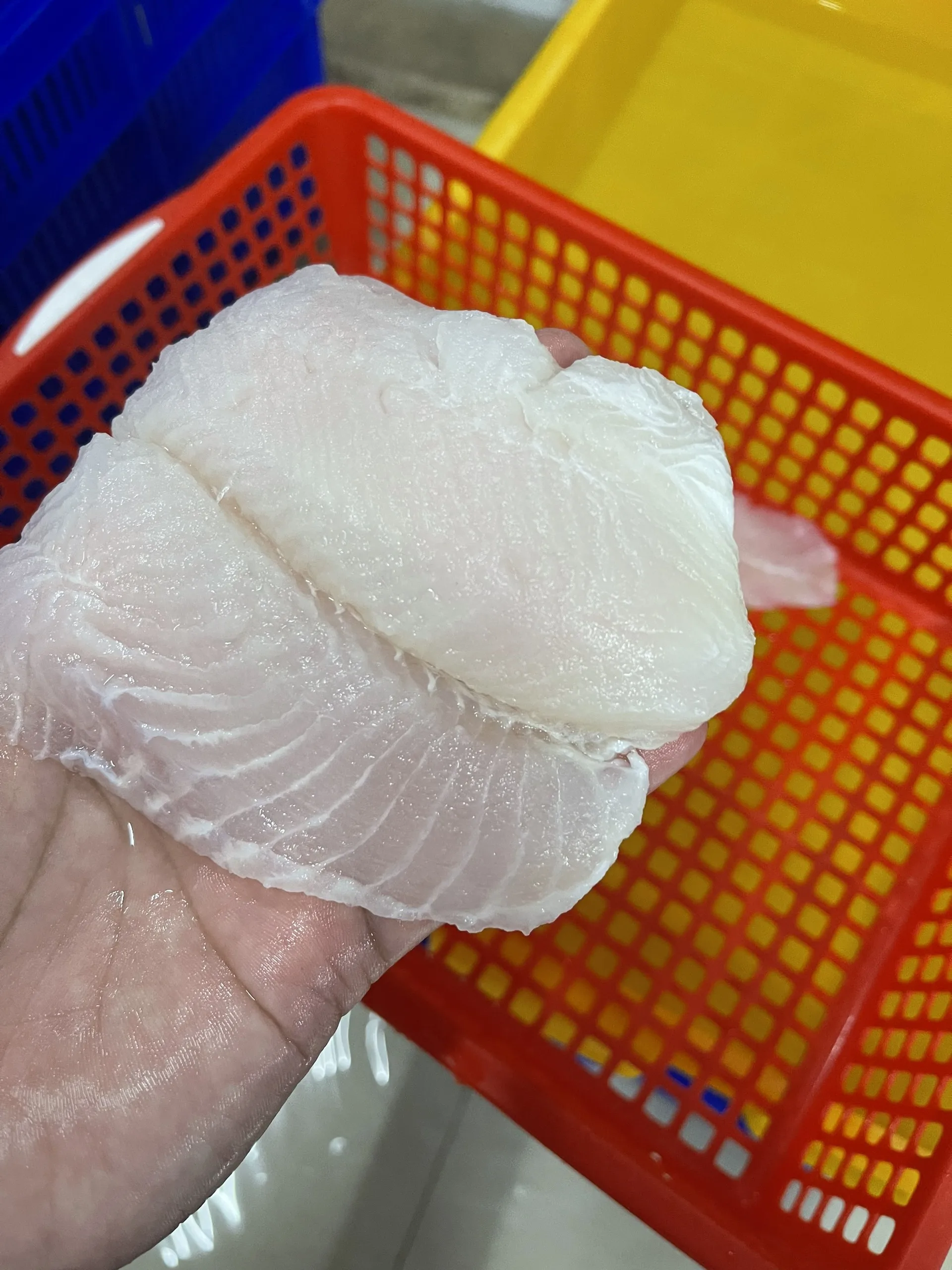 WHOLESALE FACTORY PRICE 100% HIGH QUALITY WHITE WELL TRIMMED PANGASIUS FILLET IQF Frozen fish seafood pangasius fillet