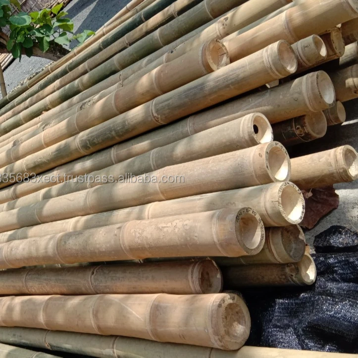 Bamboo Poles Natural Straight for Construction 8m (Non-Treated)