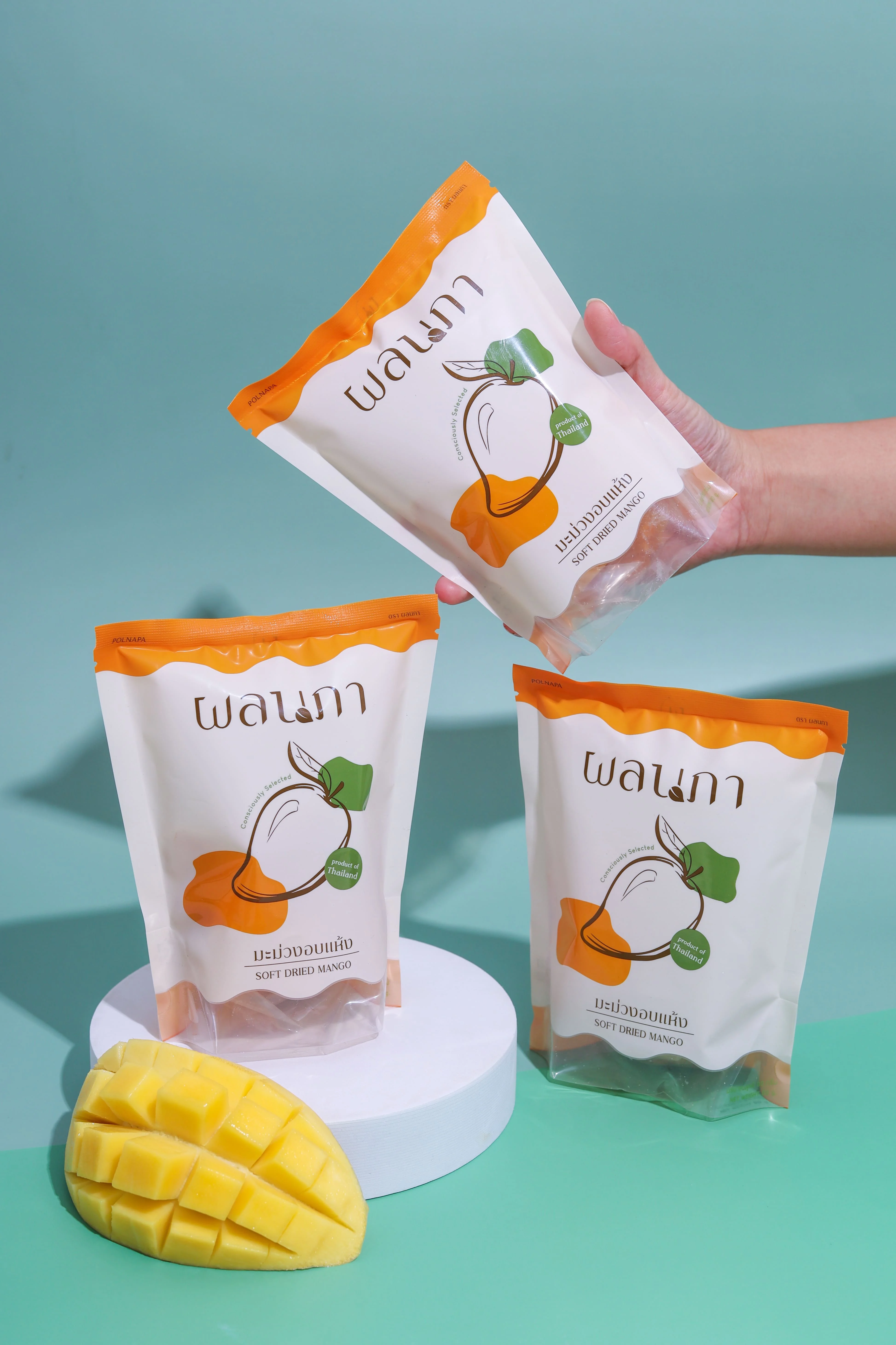 Soft Dried Mangoes Natural Sweetness Normal or Small Bite Size 80 G/Bag Product from Polnapa Mangoes Brand