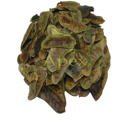 Senna Pod High Quality Senna Pod Cassia Angustifolia Pod TBC whole