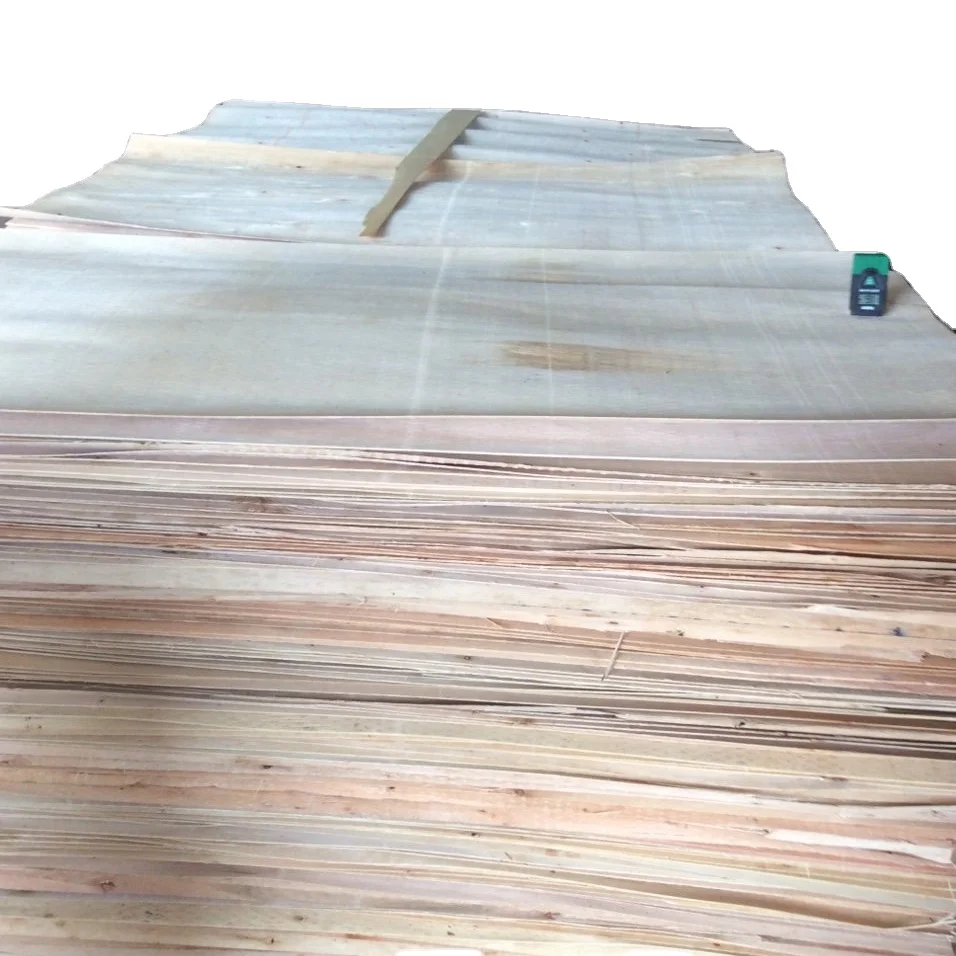High quality core veneer from Vietnam for core plywood Eucalyptus Acacia Core Veneer