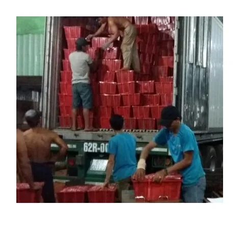 Most Searched Cleaned Organic Natural Fresh Sweet Potato