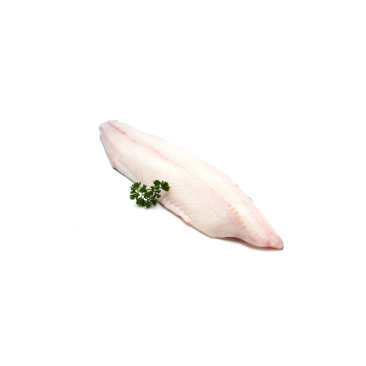 High Quality Fresh Cod Fillets For Sale Wholesale Frozen