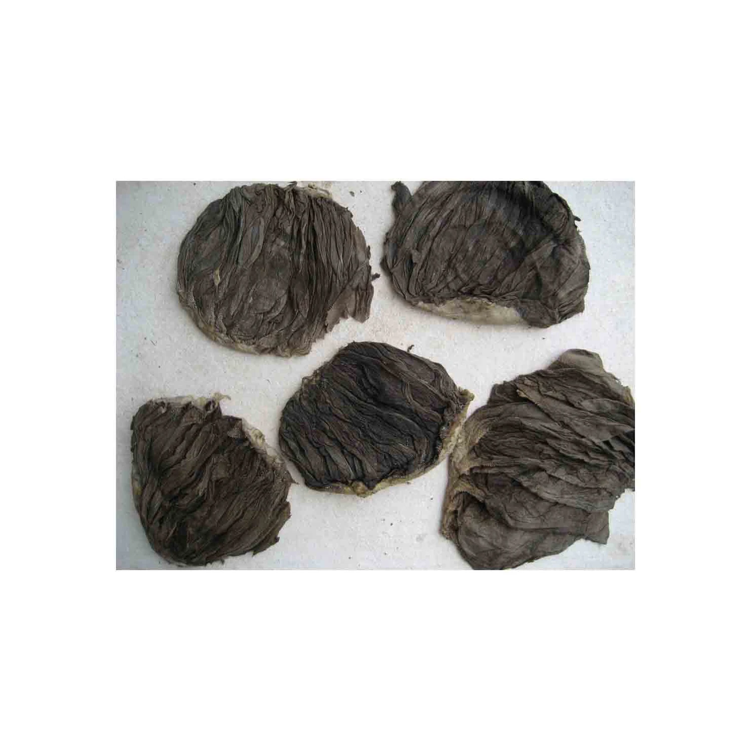 Salted & dried frozen & fresh omasum / beef meat omasum , High Quality Omasum / Omasum Suppliers from France