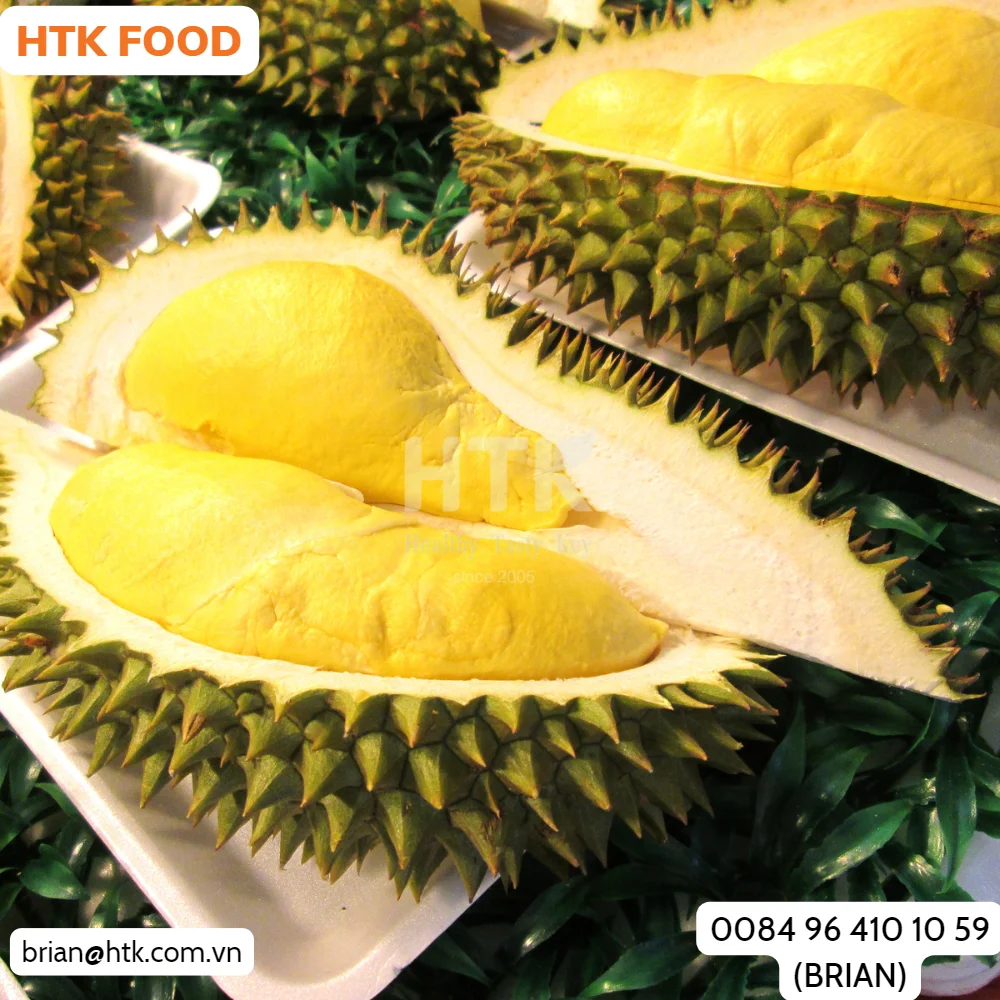 HEALTHY FROZEN IQF DURIAN RI6 MONTHONG Made In Vietnam from HTK FOOD for Food & Beverage