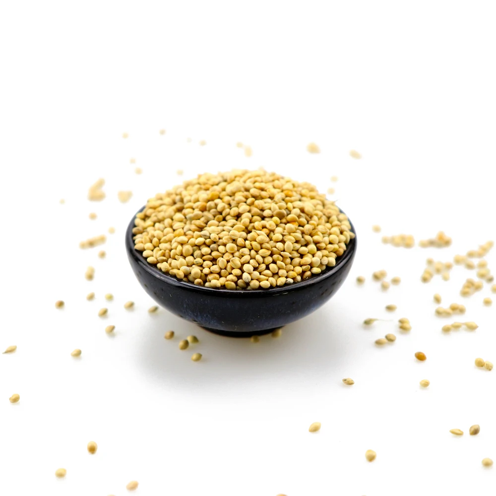 Wholesale Yellow Millet Glutinous Millet for Bird Feed