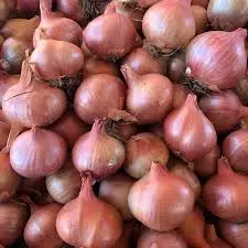 Fresh red onion for sale / premium quality red onion wholesale/low price onion for sale