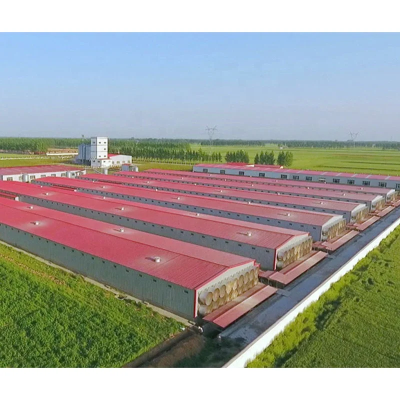 Высокое качество полный современный дизайн автоматический контроль птичник куриная ферма