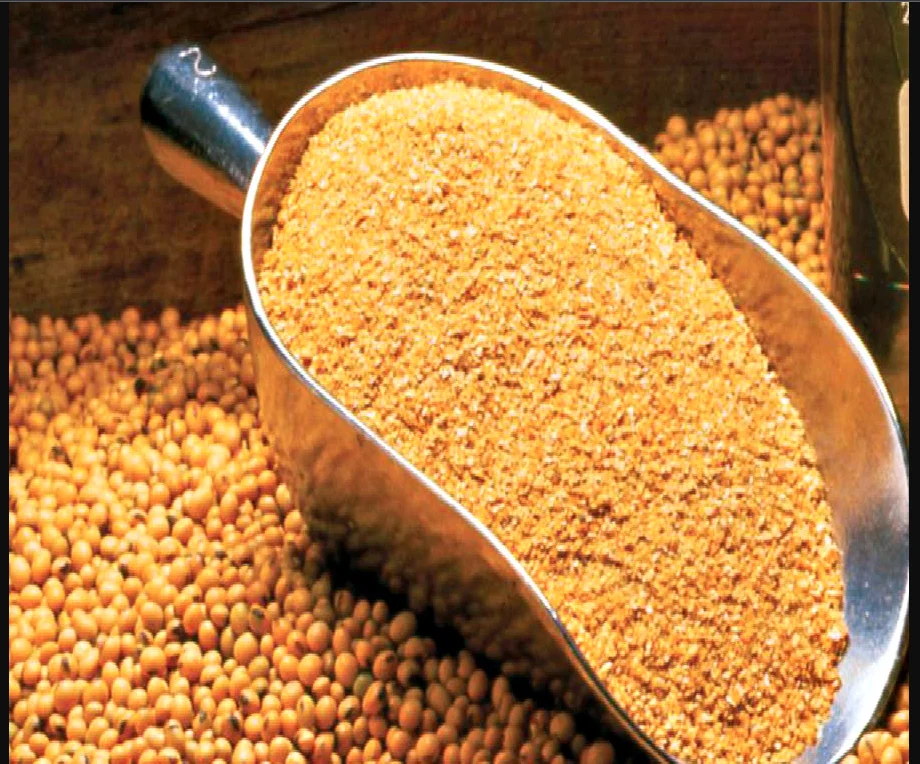 Best Soybean Meal High Quality Fish Meal Bait Feed Fish Feed For Aquaculture Animals Shrimp Crab Sea Cucumber Clam Pearl Clam