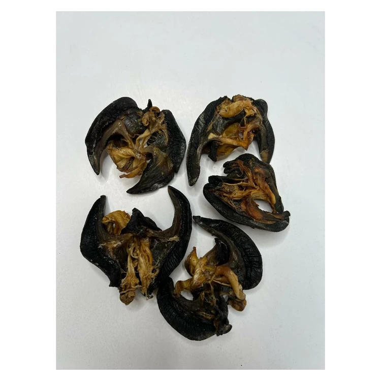 Fresh African Giant Snail/Dried snails exporters/Fresh sea snails High Quality Edible Snails Frozen Dried Fresh Snails For sale