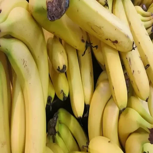 Indian fresh Yellow Banana from the Indian Suppliers and Manufacturing in a premium quality at best price