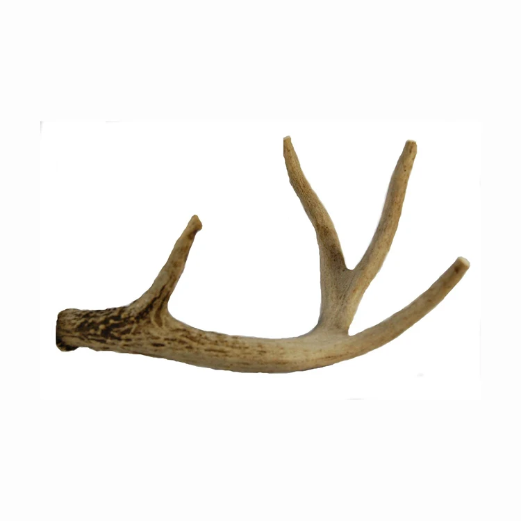 Natural Whole Red Deer Antlers