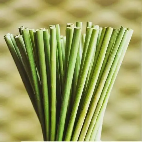 EcoBloom Grass Straws - Reusable and Natural Straws, Supporting Environmental Conservation and Green Living