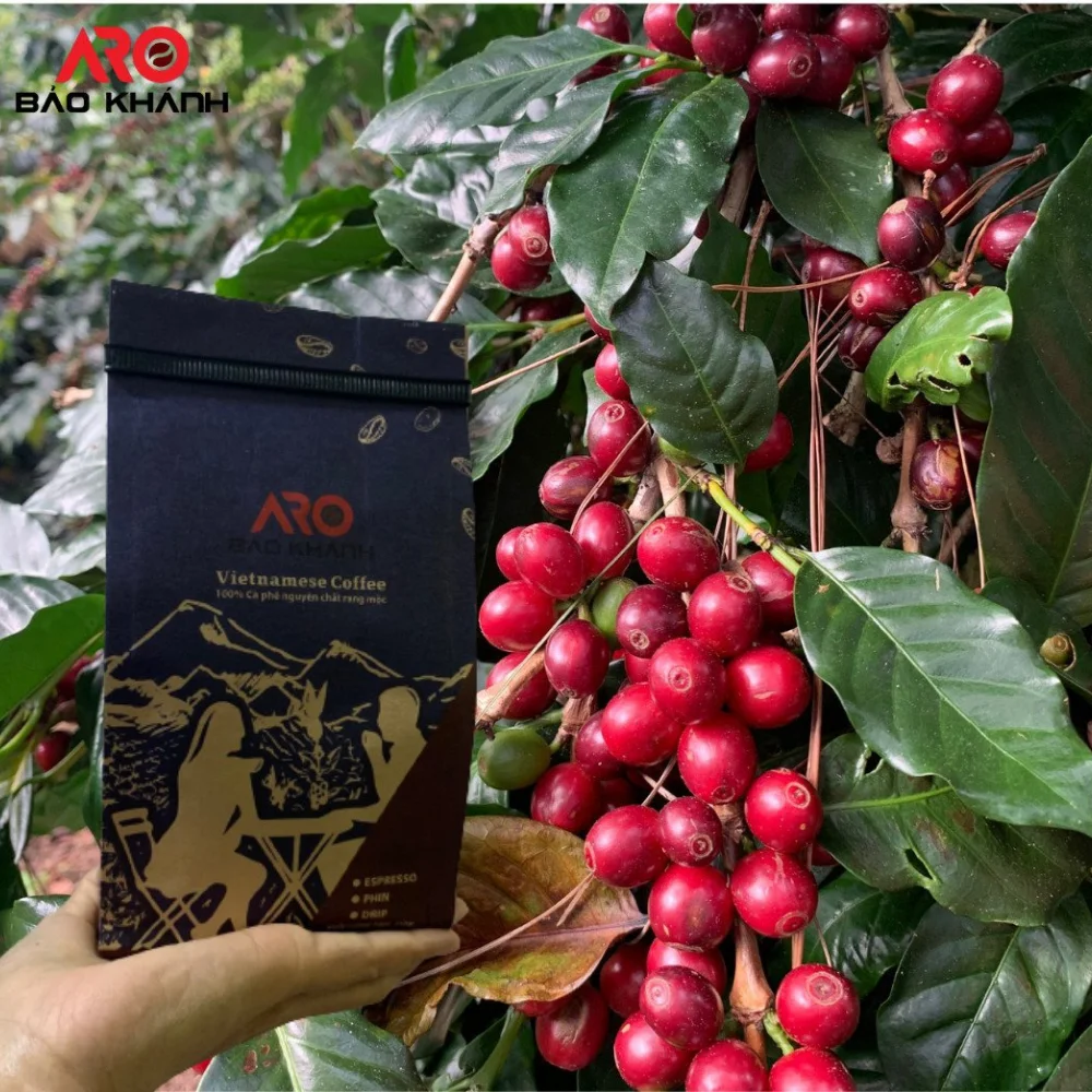 Свежий кофе с завода Robusta вьетнамские жареные кофейные зерна 1 кг сильного оптовая цена готовый к