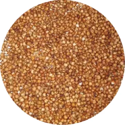 Ready to Export Red And White Sorghum, Sorghum Flour White, Sorghum Grains for sale