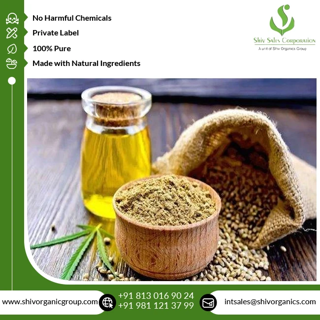Good Quality Therapeutic Grade 100% Pure and Natural Cold Pressed Carrier Hempseed Oil from Indian Supplier
