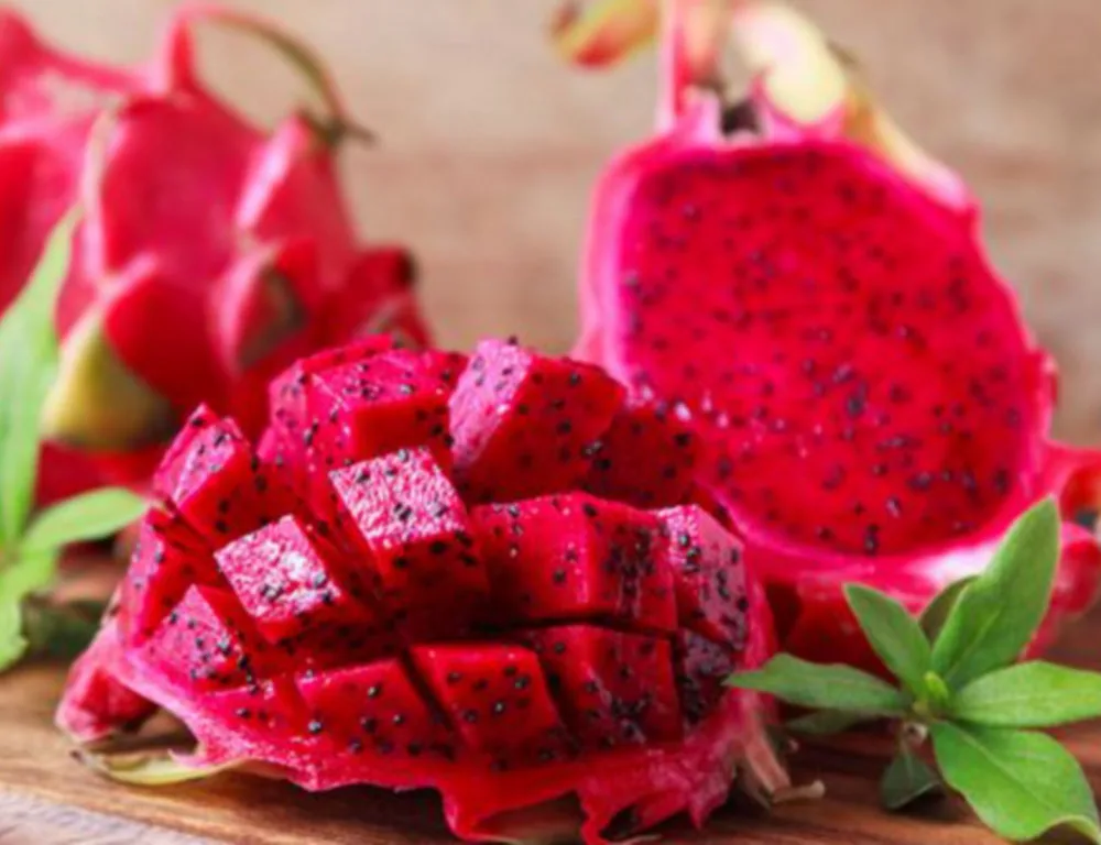 Производитель дракона фруктов-фрукты дракона высшего качества