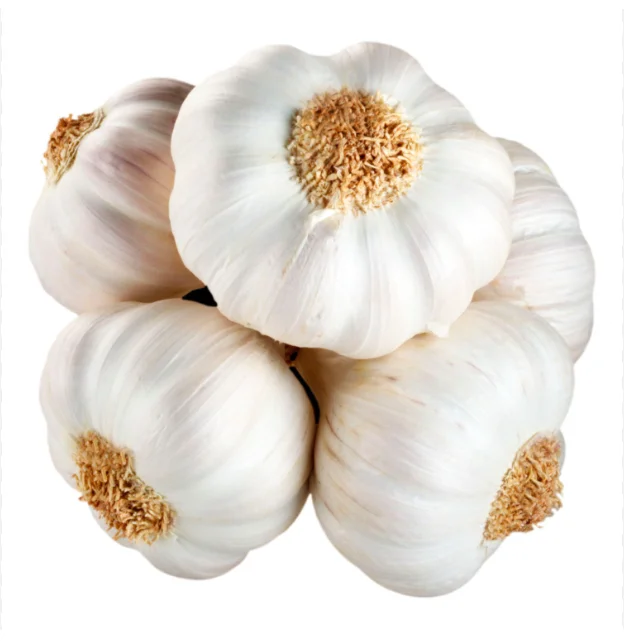 Fresh White Garlic Bulk Price Wholesale Normal Pure Fresh Garlic From Taiwan Organic Snow White