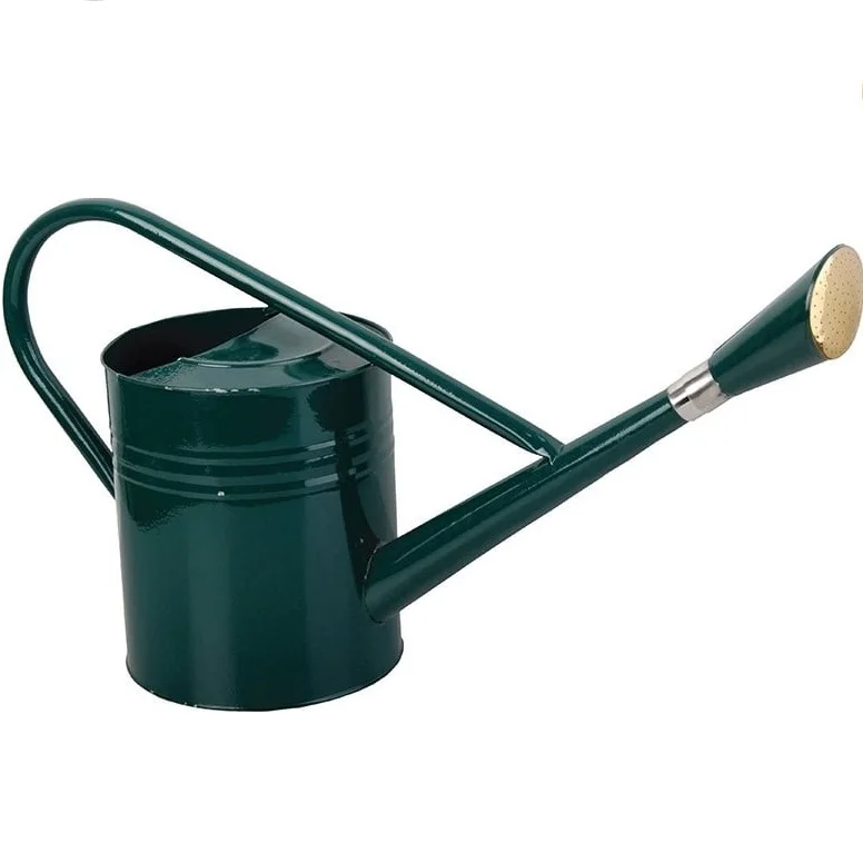 Top Trending Metal Watering Cane Galvanized Water Can Antique Finishing Home And Garden Water Planter Metal Water Cane