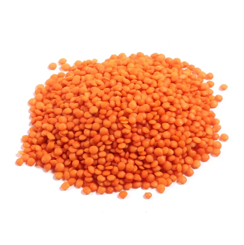 Canada Lentils Wholesale Lentils top quality Green lentils
