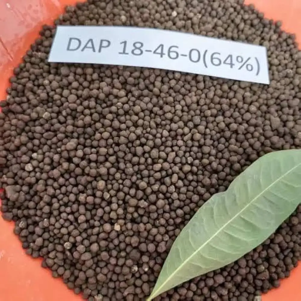 Cheap Price High Quality Agriculture Plant Humic Acid Organic Granular Fertilizer