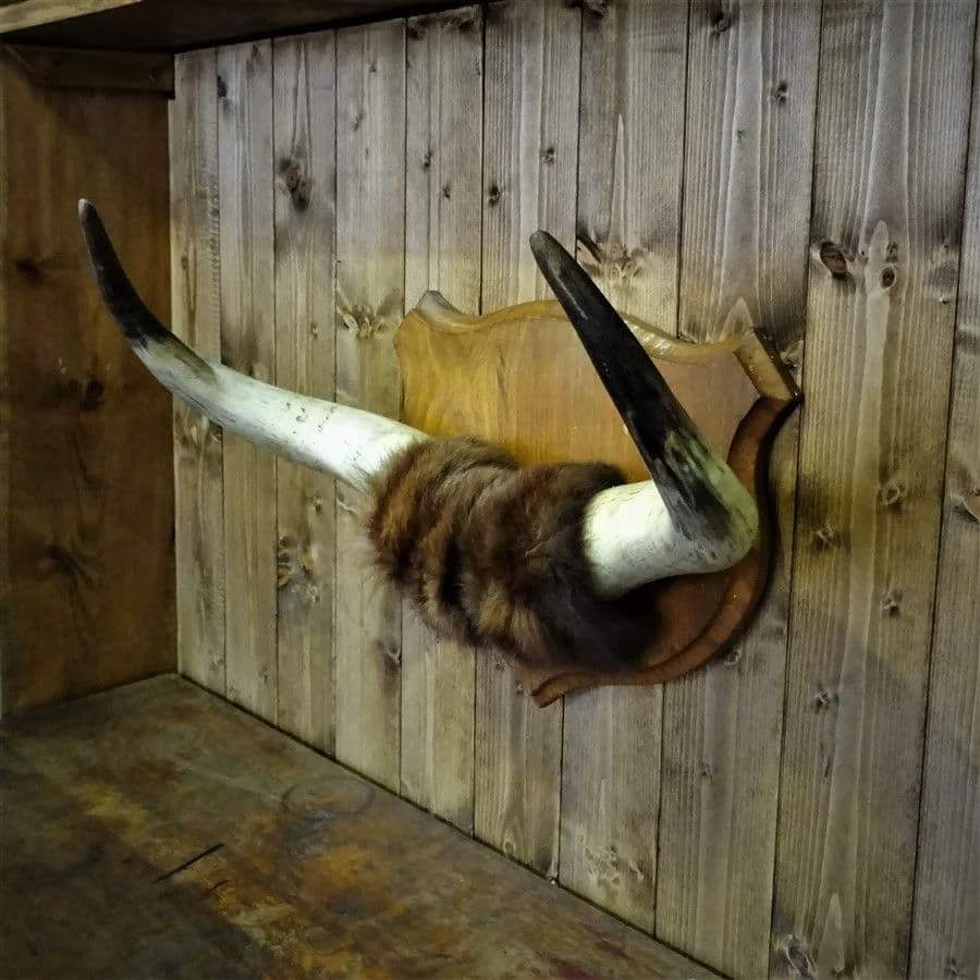 Индийский Рог викингов с кожаным держателем, рог викингов с резьбой, античный Рог викингов