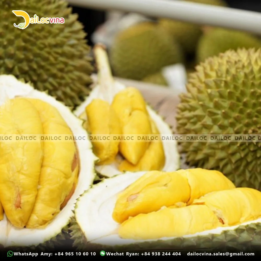 FAMOUS TROPICAL ASIA FRUIT PREMIUM HIGH WHOLE MUSANG KING DURIAN SWEET AND THICK FLAVOR