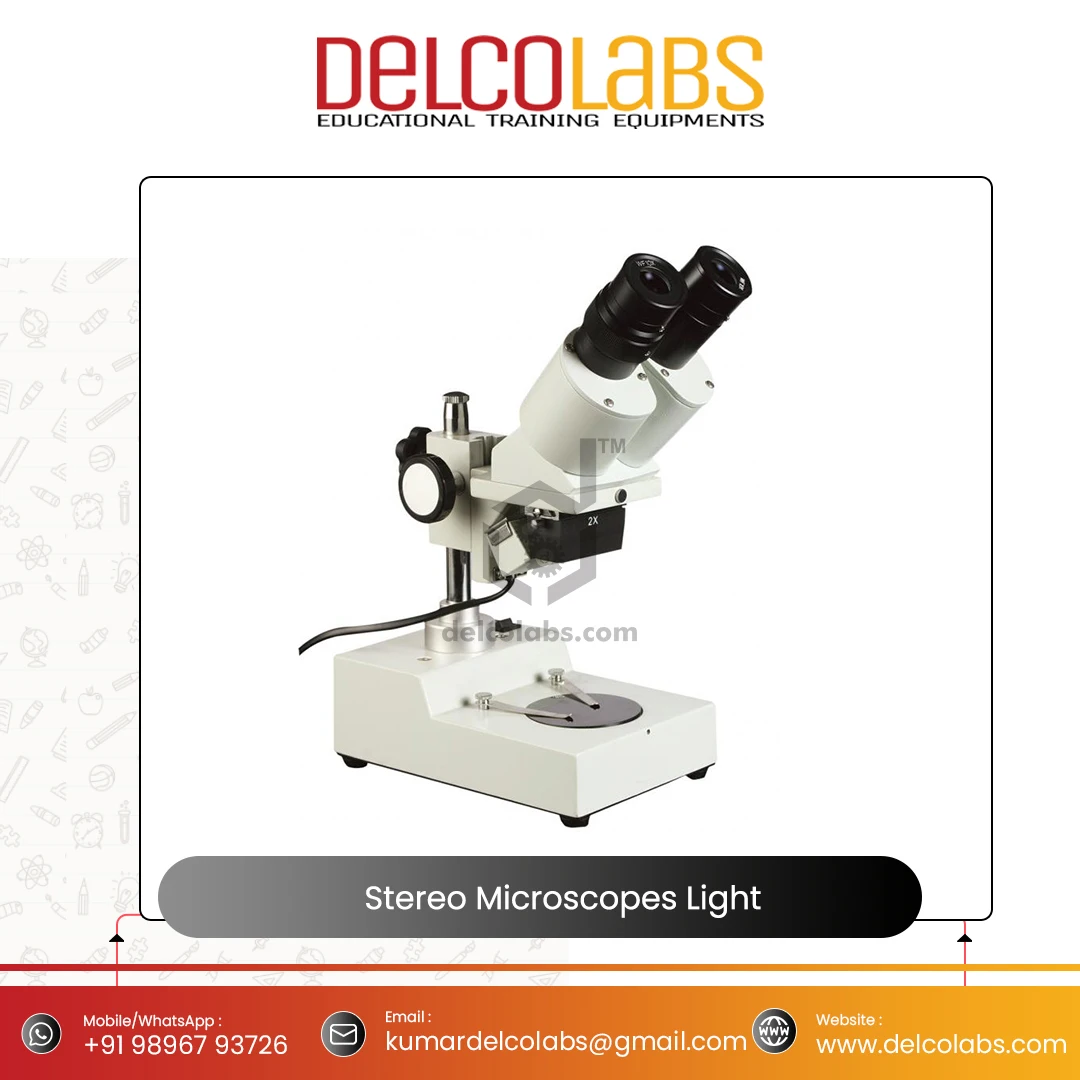 Delcolabs Stereo Microscopes Built in Light Biological Microscopes for Laboratories Teaching Manufacturer