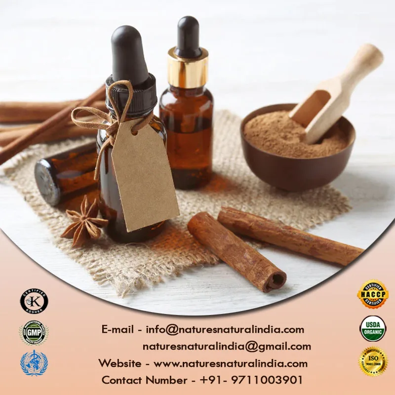 Factory Supply Top Quality Cinnamon Bark Oil at Bulk Wholesale Rates High Concentrated Fragrance Oils for Candle Making